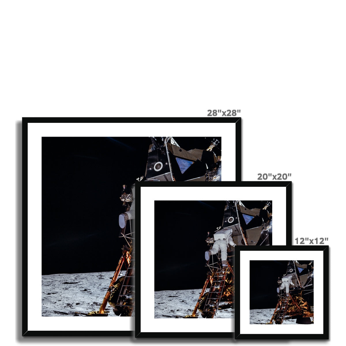 Aldrin's Descend Framed & Mounted Print