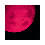 Red Moon Photo Art Print