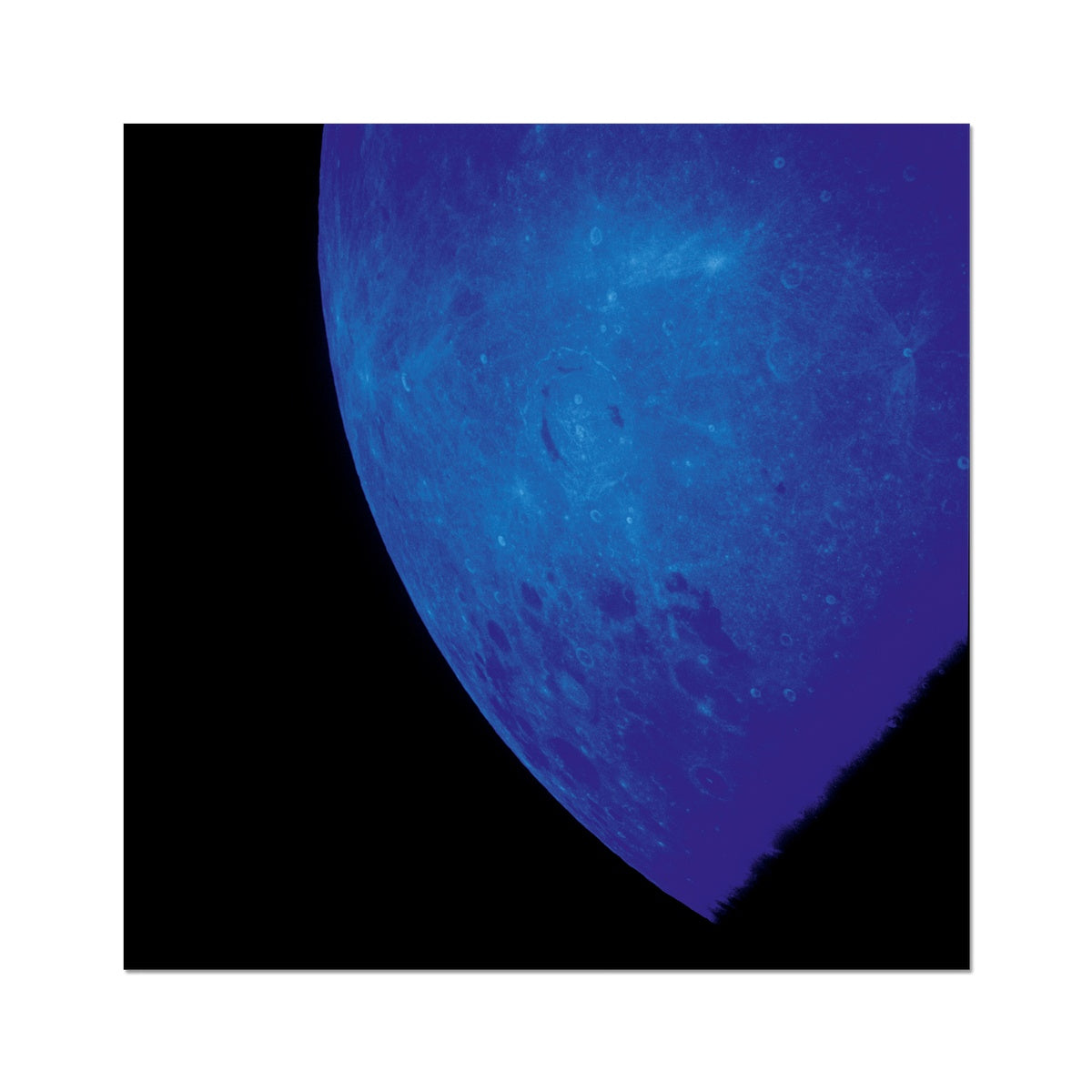 Blue Moon Photo Art Print